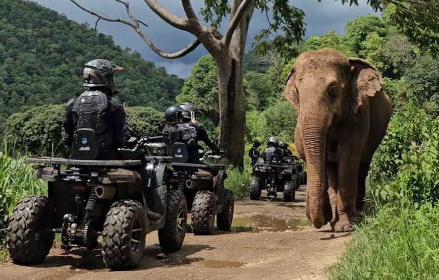 Sticky Waterfall and ATV adventure