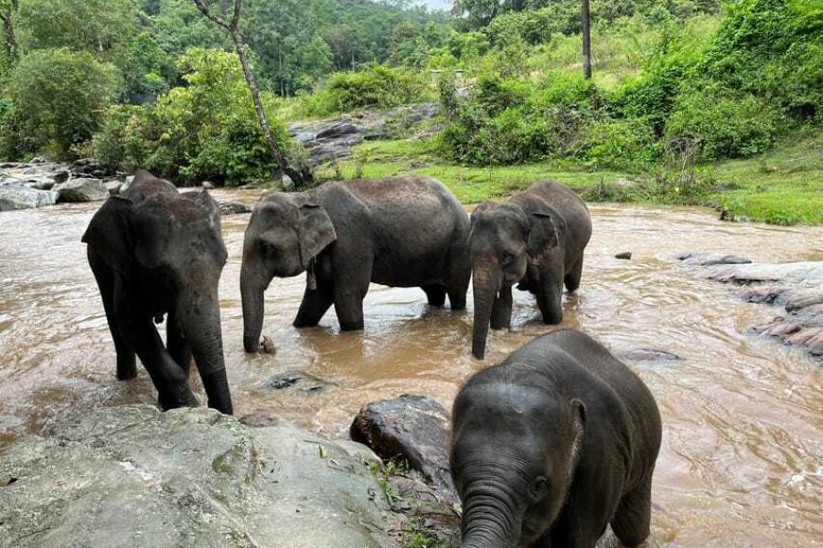 Elephant sanctury and Waterfall